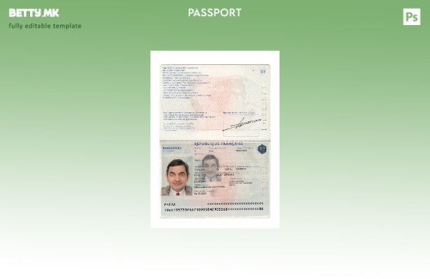 Модерен стил Француски пасош сегашен шаблон